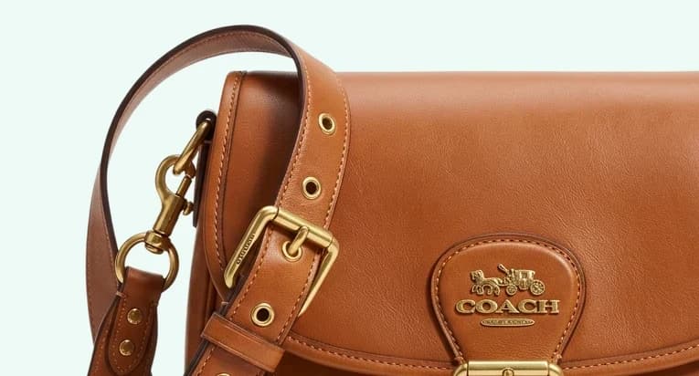 Detail shot of Coach Saddle Bag 23 hardware and leather